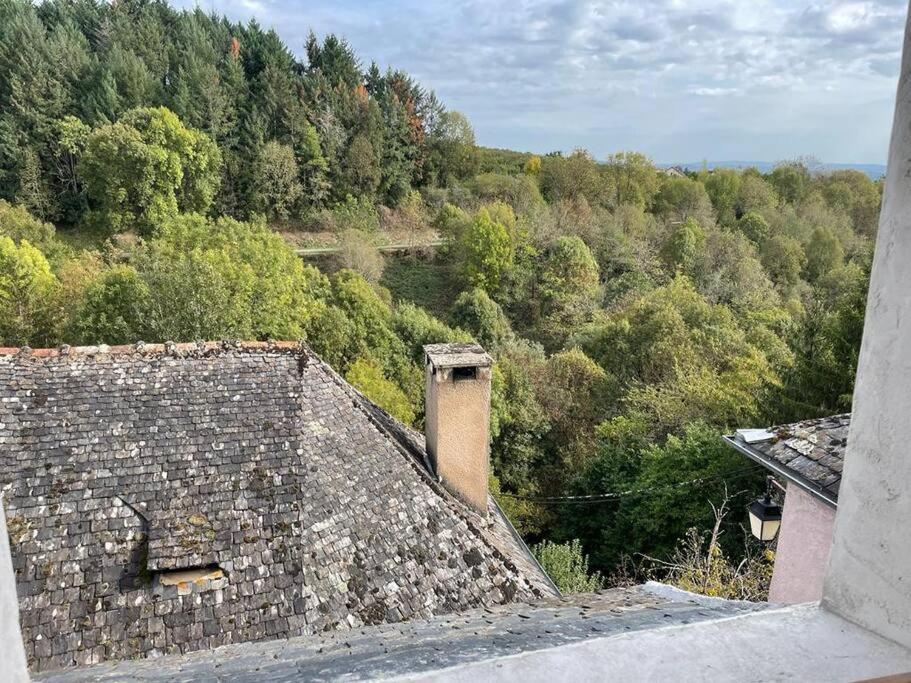 Maison De Village Avec Vue 4/5 Personnes Lou Rouchou Voutezac Екстериор снимка